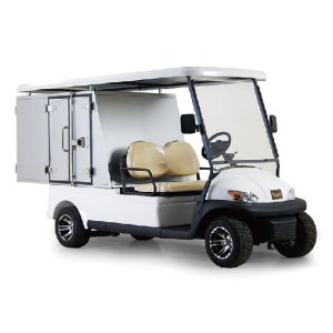 Excar Golf Cart with Cargo Box: A1H2LC