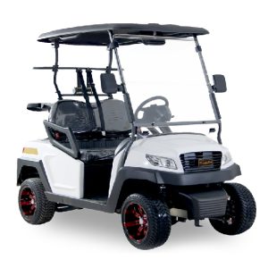 Excar Golf Cart M1S2
