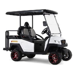 Excar Golf Cart M1S2+2