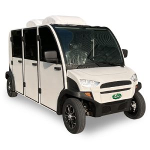 Lgao Electric Car 106D with AC