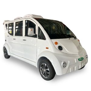 Lgao Electric Car 106C with AC